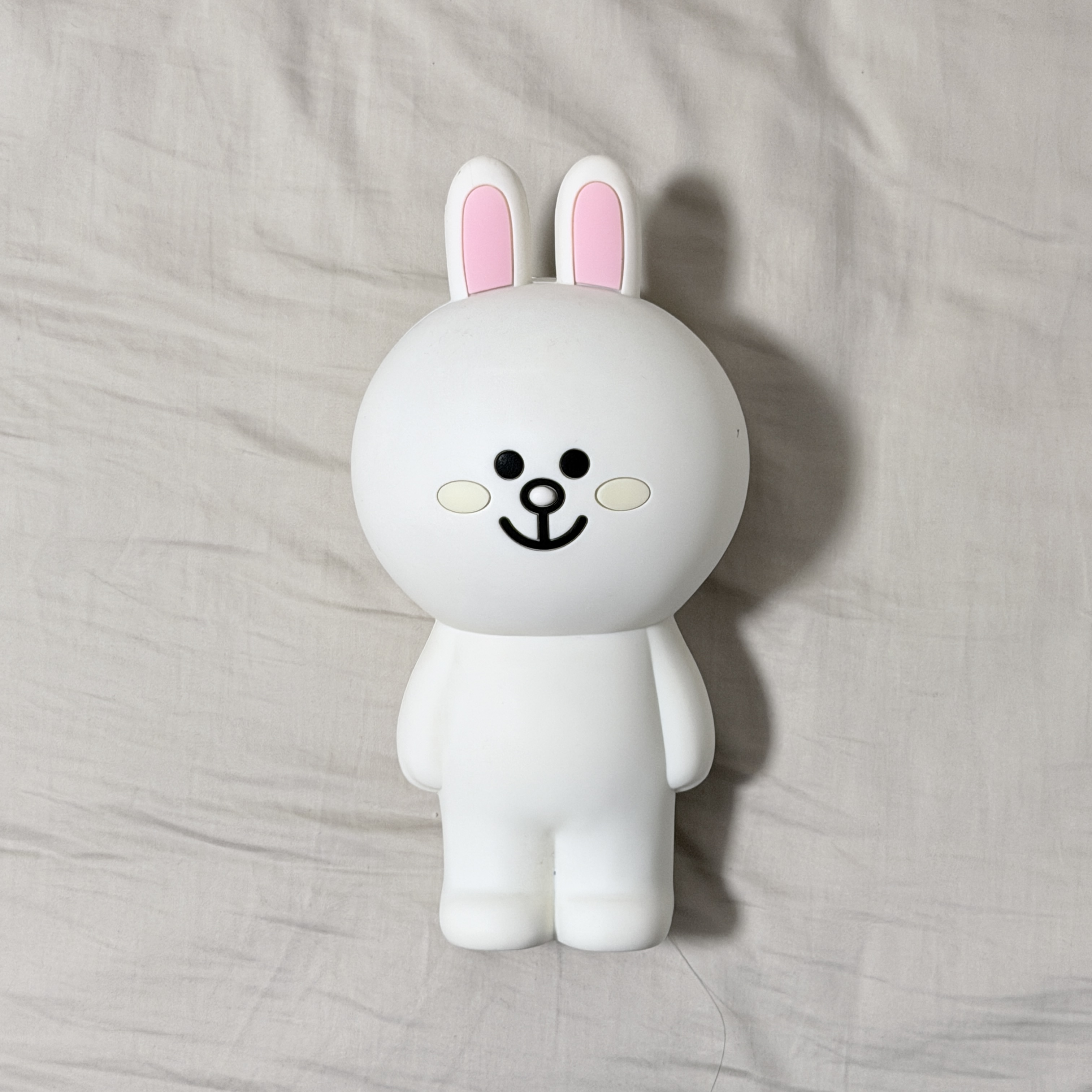 This is a photo of bunny from a front view.