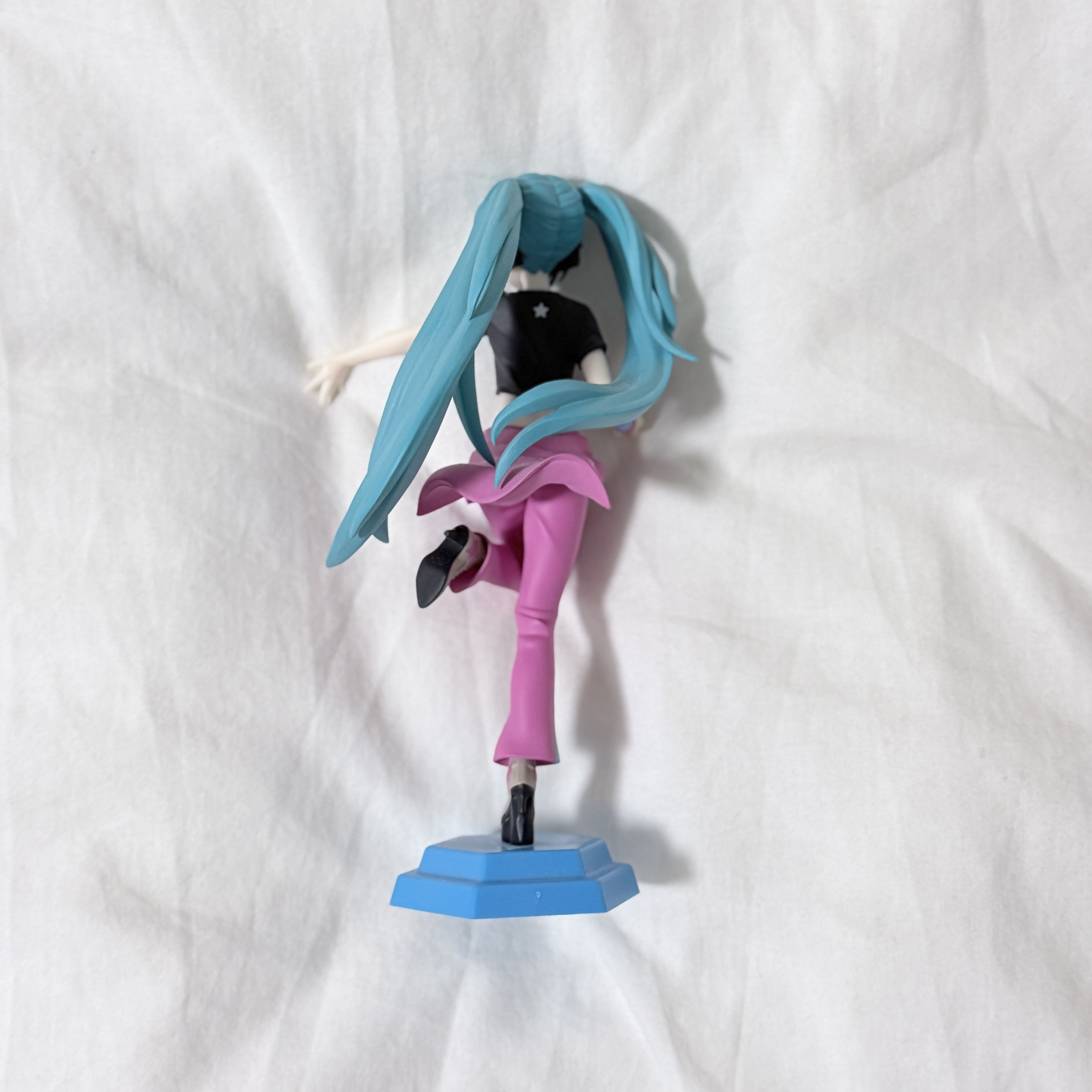 This is a photo of Miku from a back view.